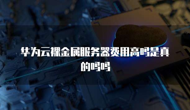 华为云裸金属服务器费用高吗是真的吗吗