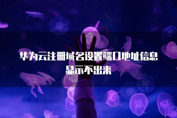 华为云注册域名设置端口地址信息显示不出来