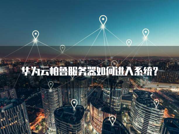 华为云帕鲁服务器如何进入系统?