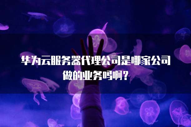 华为云服务器代理公司是哪家公司做的业务吗啊?
