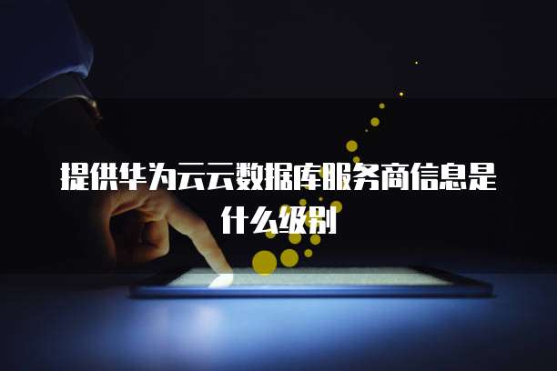 提供华为云云数据库服务商信息是什么级别