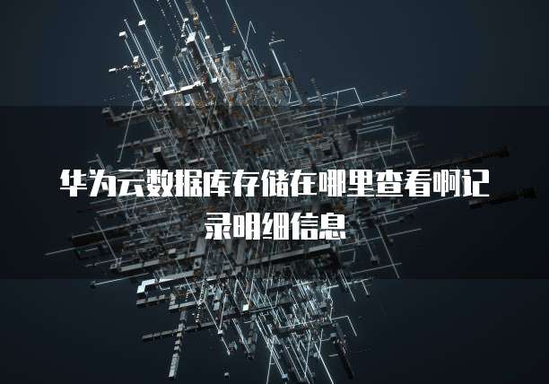 华为云数据库存储在哪里查看啊记录明细信息