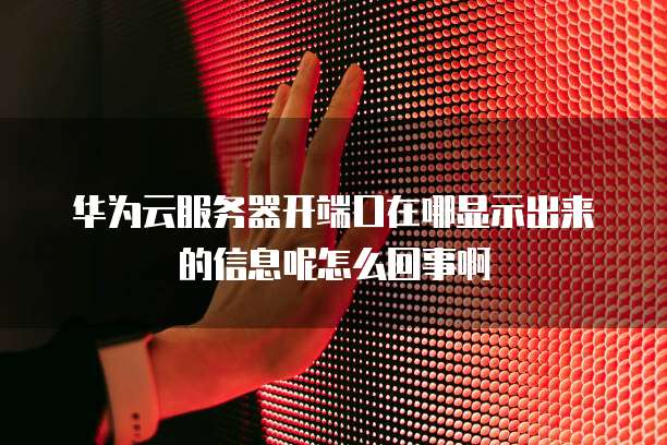 华为云服务器开端口在哪显示出来的信息呢怎么回事啊