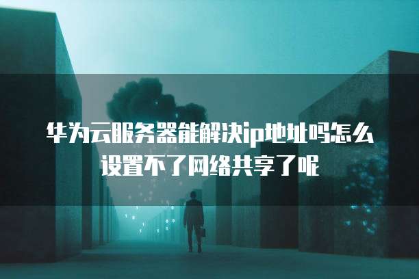 华为云服务器能解决ip地址吗怎么设置不了网络共享了呢