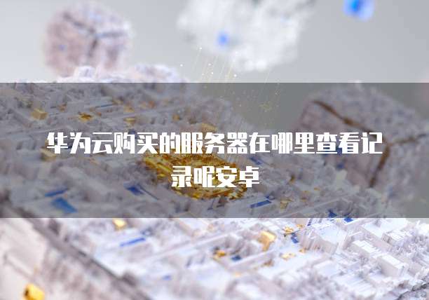 华为云购买的服务器在哪里查看记录呢安卓