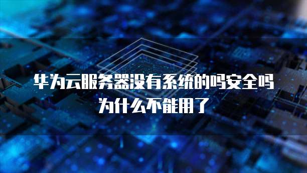 华为云服务器没有系统的吗安全吗为什么不能用了