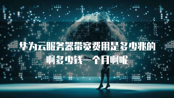 华为云服务器带宽费用是多少兆的啊多少钱一个月啊呢
