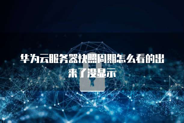 华为云服务器快照周期怎么看的出来了没显示