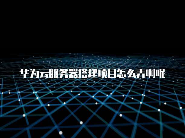 华为云服务器搭建项目怎么弄啊呢