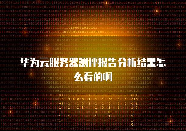华为云服务器测评报告分析结果怎么看的啊