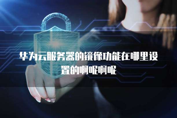华为云服务器的镜像功能在哪里设置的啊呢啊呢
