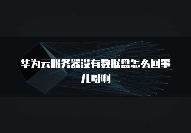华为云服务器没有数据盘怎么回事儿呀啊