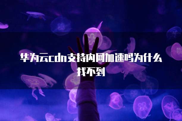 华为云cdn支持内网加速吗为什么找不到