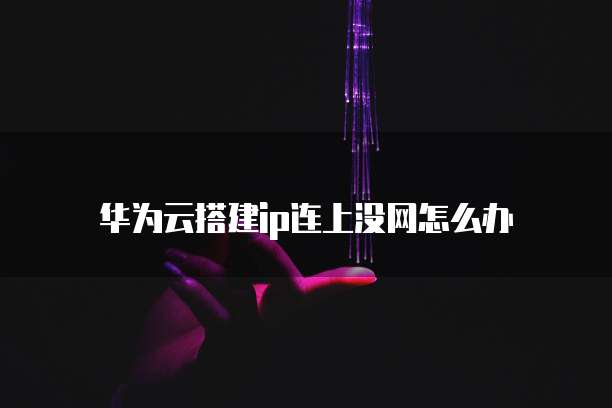 华为云搭建ip连上没网怎么办