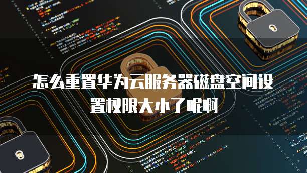 怎么重置华为云服务器磁盘空间设置权限大小了呢啊
