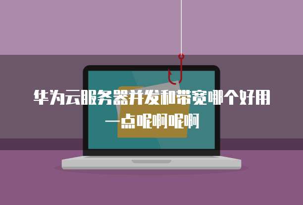 华为云服务器并发和带宽哪个好用一点呢啊呢啊