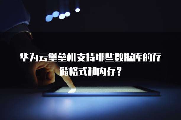 华为云堡垒机支持哪些数据库的存储格式和内存?