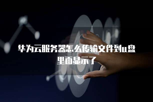 华为云服务器怎么传输文件到u盘里面显示了