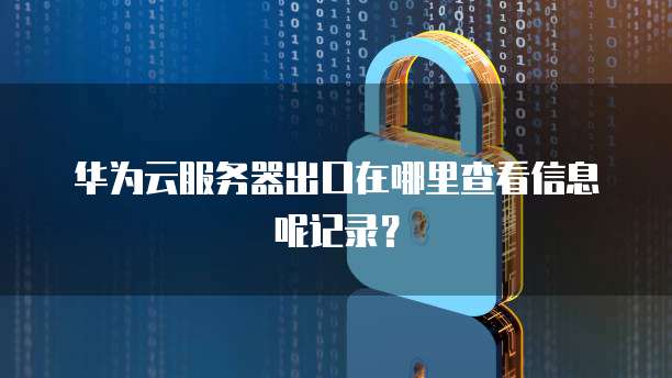 华为云服务器出口在哪里查看信息呢记录?