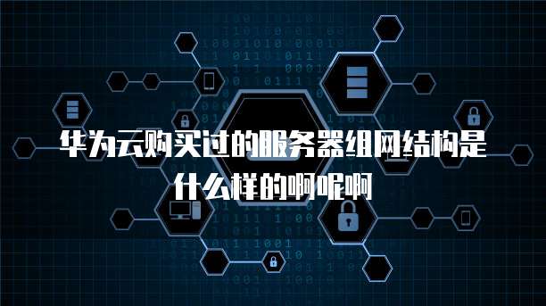 华为云购买过的服务器组网结构是什么样的啊呢啊