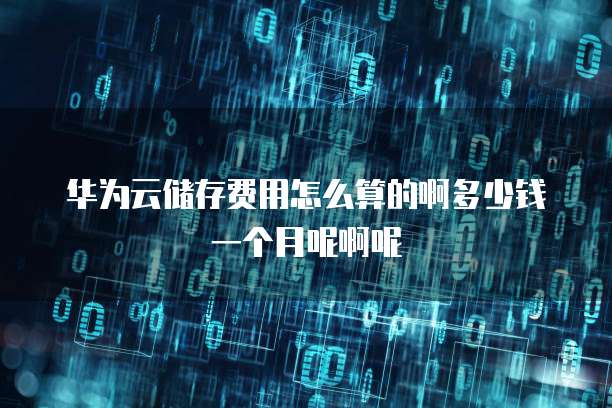 华为云储存费用怎么算的啊多少钱一个月呢啊呢
