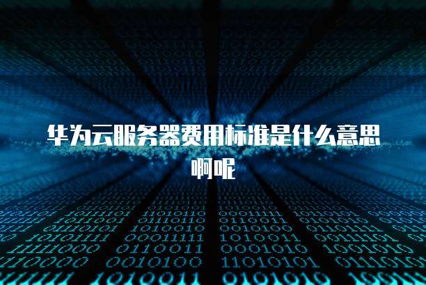 华为云服务器费用标准是什么意思啊呢