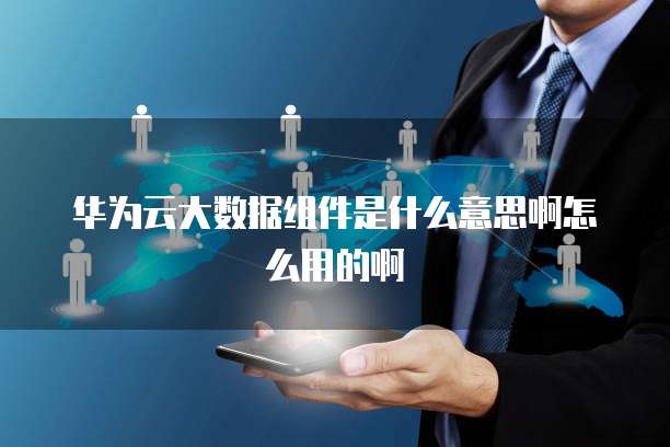 华为云大数据组件是什么意思啊怎么用的啊