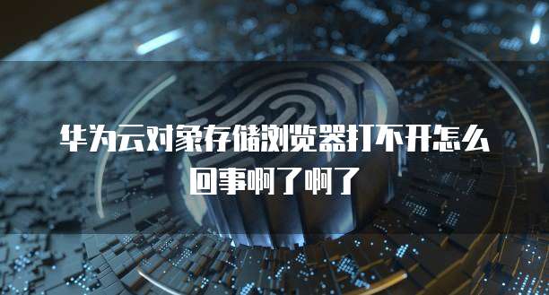 华为云对象存储浏览器打不开怎么回事啊了啊了