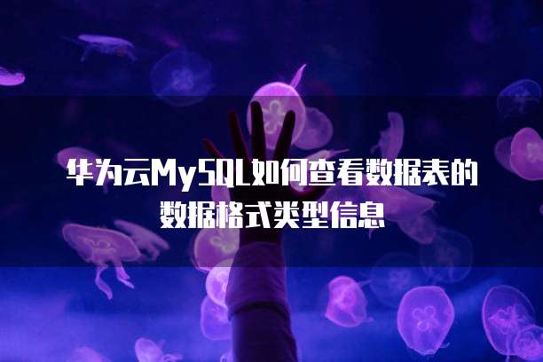 华为云MySQL如何查看数据表的数据格式类型信息