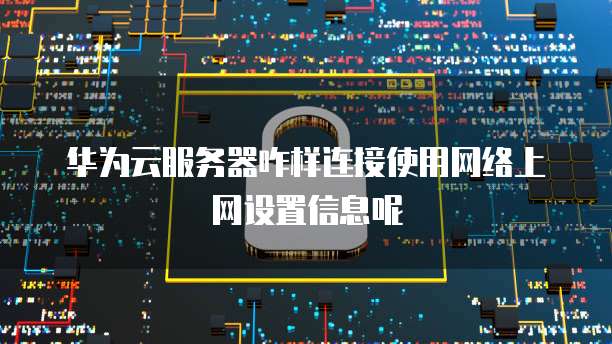 华为云服务器咋样连接使用网络上网设置信息呢