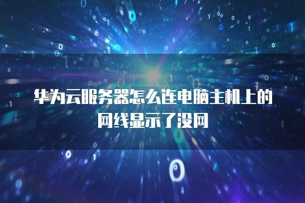 华为云服务器怎么连电脑主机上的网线显示了没网