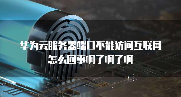 华为云服务器端口不能访问互联网怎么回事啊了啊了啊