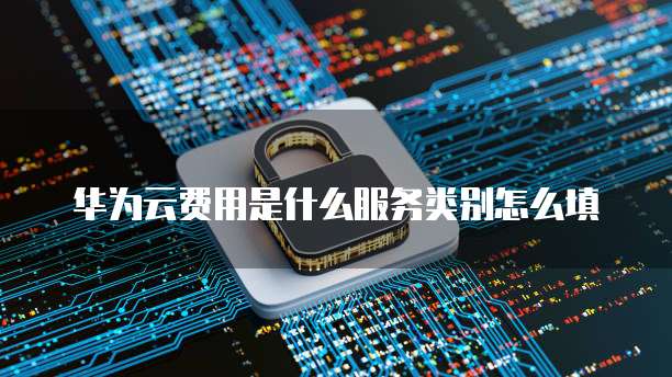 华为云费用是什么服务类别怎么填