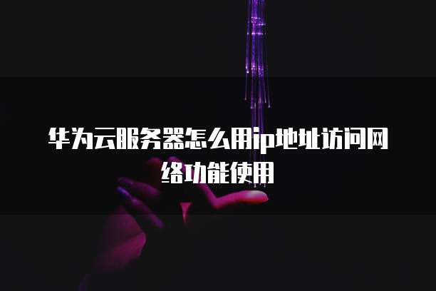 华为云服务器怎么用ip地址访问网络功能使用