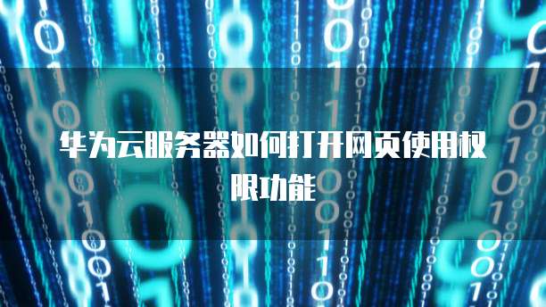 华为云服务器如何打开网页使用权限功能