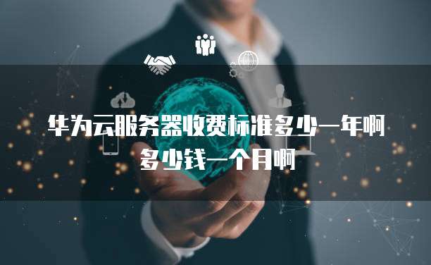 华为云服务器收费标准多少一年啊多少钱一个月啊