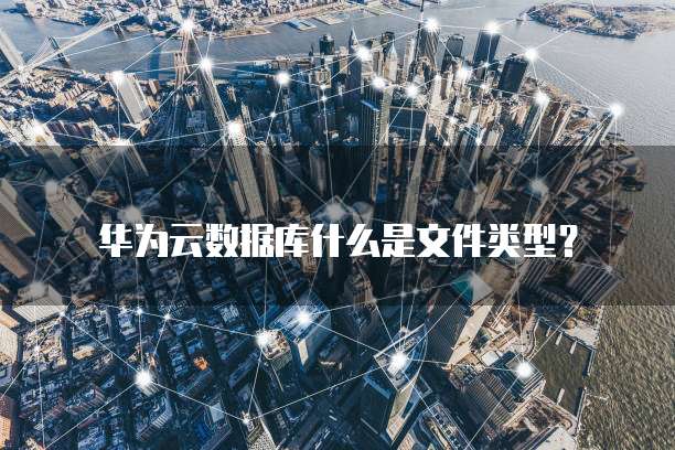 华为云数据库什么是文件类型？
