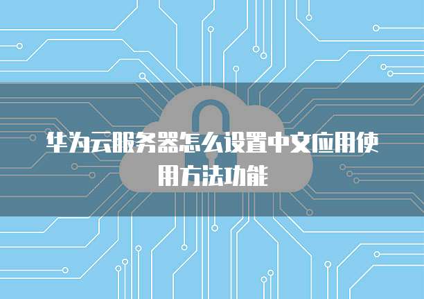 华为云服务器怎么设置中文应用使用方法功能