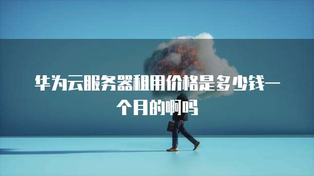 华为云服务器租用价格是多少钱一个月的啊吗