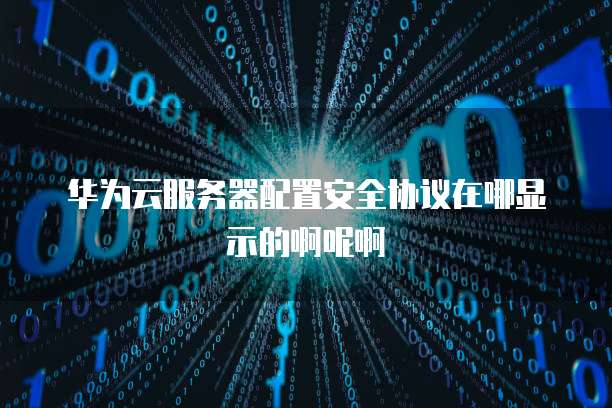 华为云服务器配置安全协议在哪显示的啊呢啊