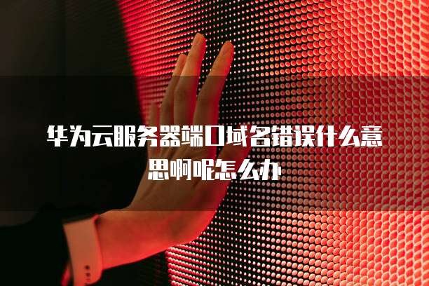 华为云服务器端口域名错误什么意思啊呢怎么办