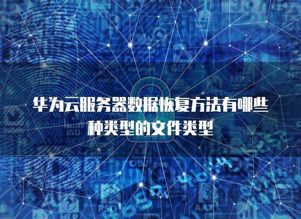 华为云服务器数据恢复方法有哪些种类型的文件类型