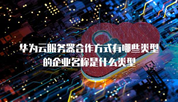 华为云服务器合作方式有哪些类型的企业名称是什么类型