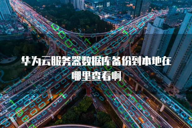 华为云服务器数据库备份到本地在哪里查看啊