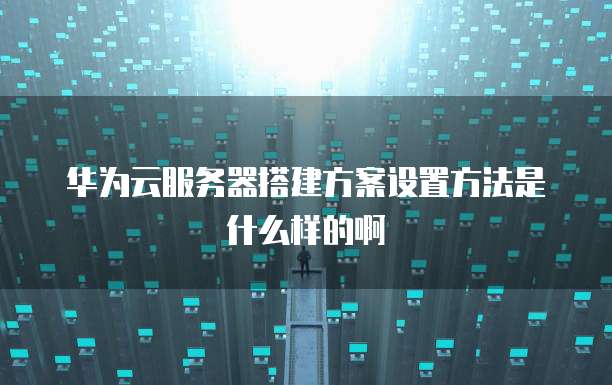 华为云服务器搭建方案设置方法是什么样的啊