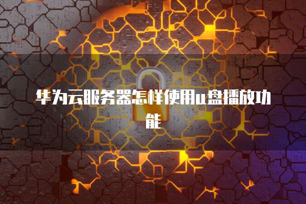 华为云服务器怎样使用u盘播放功能