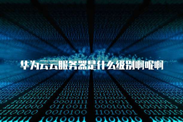 华为云云服务器是什么级别啊呢啊