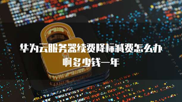 华为云服务器续费降标减费怎么办啊多少钱一年