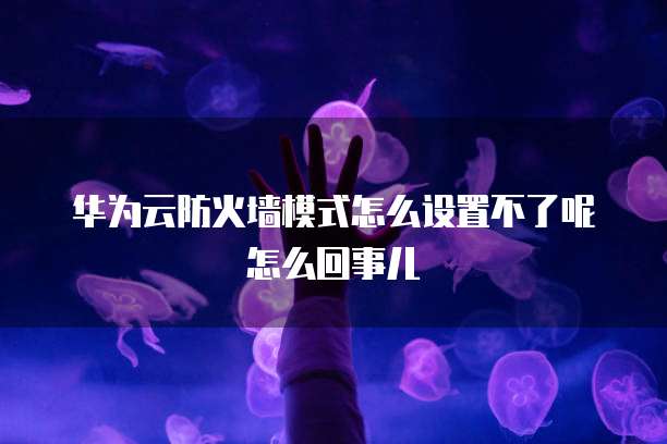华为云防火墙模式怎么设置不了呢怎么回事儿