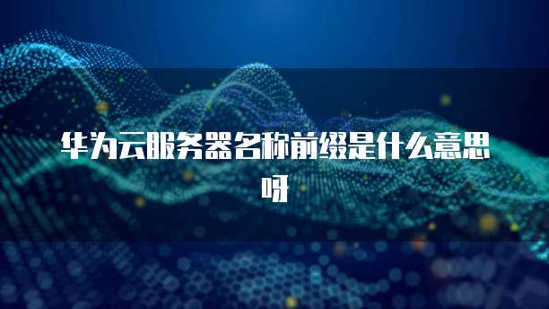 华为云服务器名称前缀是什么意思呀